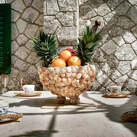 Antoon بيت للعطل