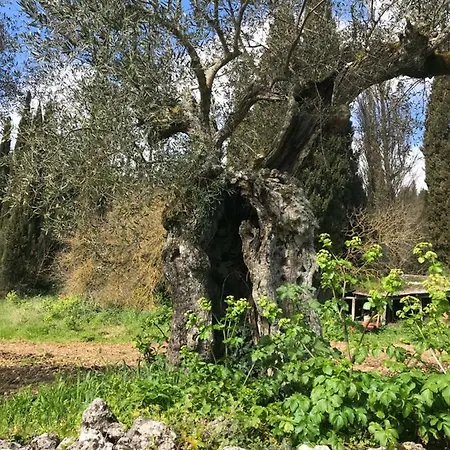Antoon Holiday home
