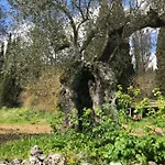 Antoon Casa vacanze