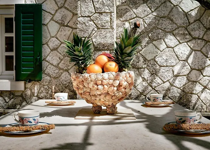 Antoon Case de vacanță