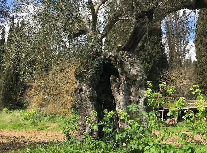 Antoon Case de vacanță